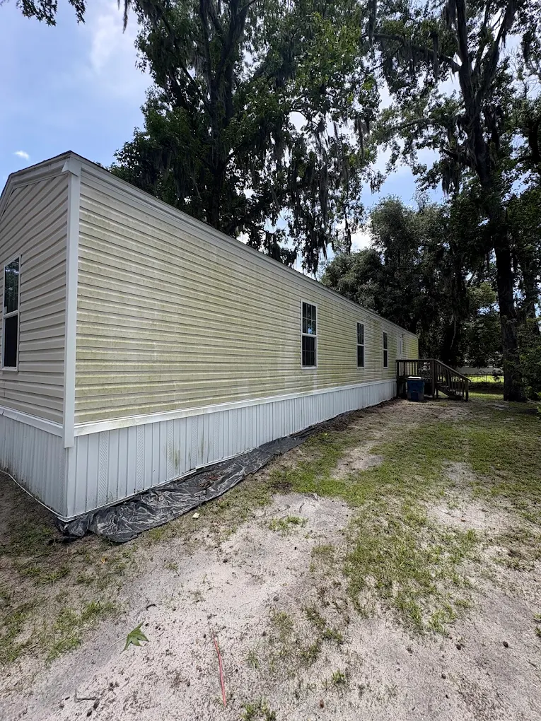 Mildewed mobile home siding before wash